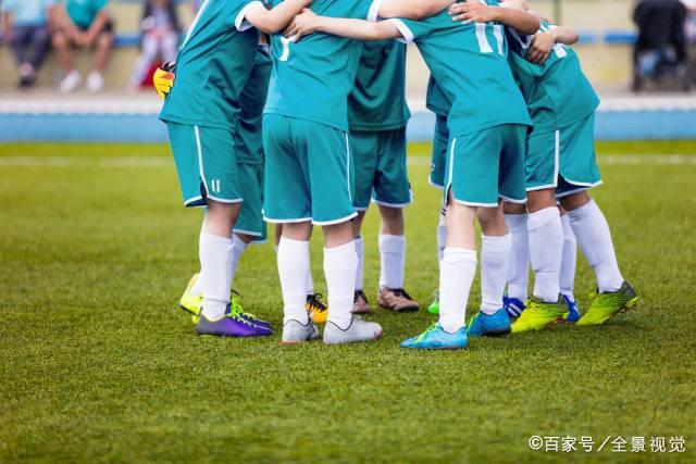 二季度净利大幅增长，毛利率居行业领先地位